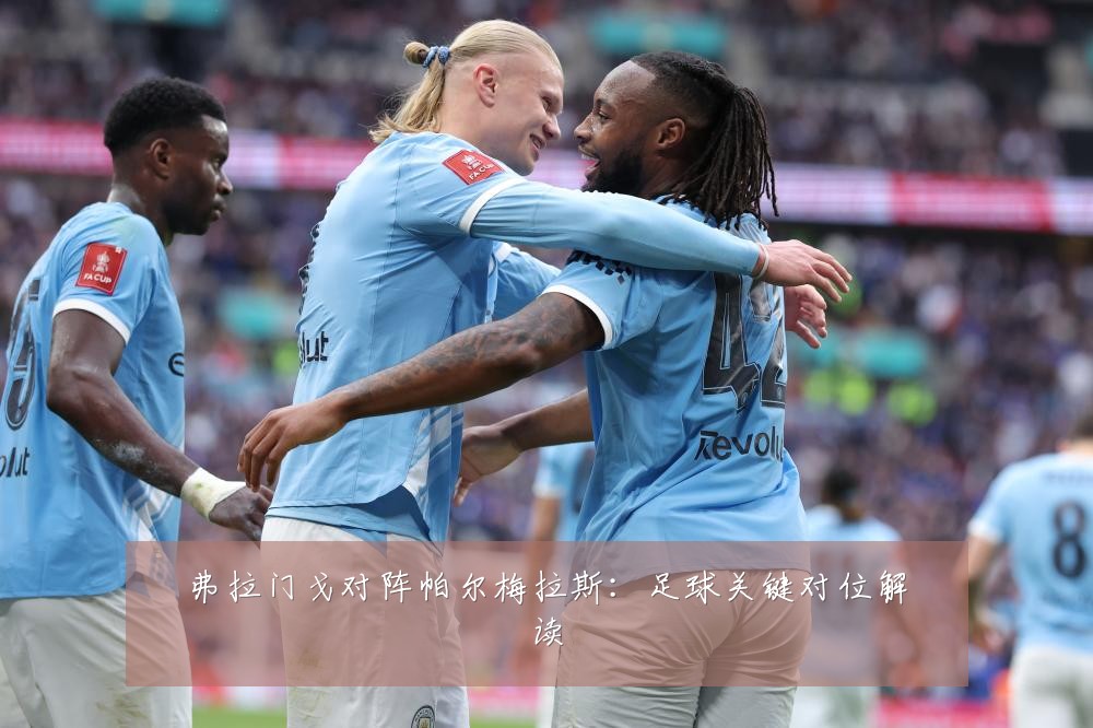 弗拉门戈对阵帕尔梅拉斯：足球关键对位解读
